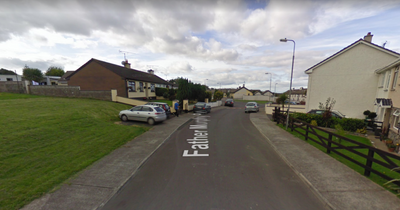 Gardai rush to house in Irish housing estate as man is seriously injured in assault