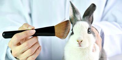 Talking things out: How institutional transparency could improve animal research