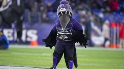 Ravens’ Mascot Poe Carted Off Field With Apparent Injury