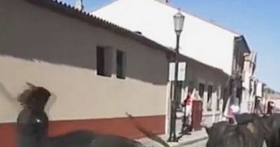Woman in hospital after being gored during Spanish bull running festival