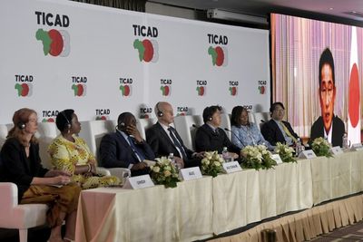 Japan vows to work for 'more resilient' African economies