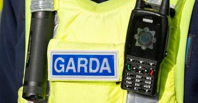 Man to appear in court after garda dragged by car in Kildare