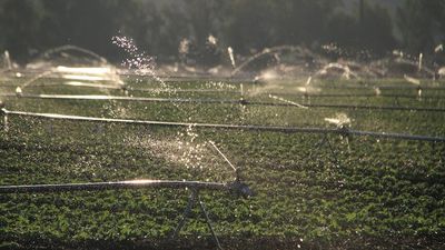 Plan to unlock unused land in Australia's salad bowl using 'wasted' recycled water