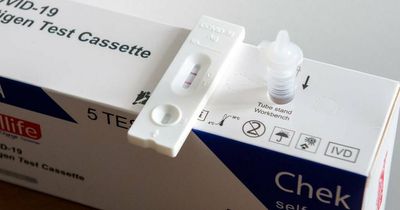 Record drop in ACT COVID-19 cases continues