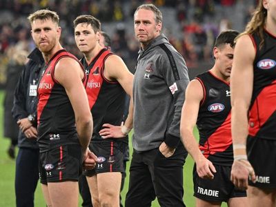 Bombers need open mind on coach: Lewis