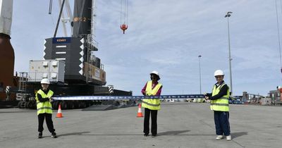 Harbour cranes lift Port of Newcastle into a new era