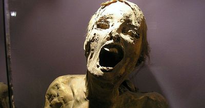 Morbid museum of mummies which displays real bodies of dead humans