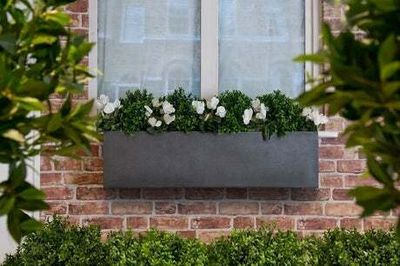 Best window boxes for small flats to grow plants, fresh herbs and more