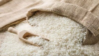 India seeks to avoid panic with targeted rice export curb