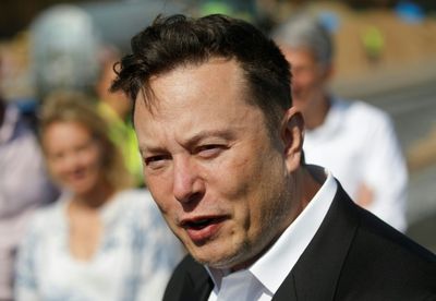 Elon Musk says the planet needs more oil ... and babies