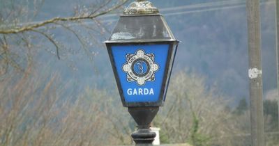 Five arrested after man seriously injured in Kildare assault