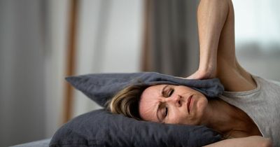 'My neighbour sounds like he's smashing his house up at 7am - I want peace and quiet'