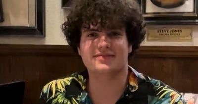 David Celino died at Leeds Festival after 'fabulous' GCSE results as family say, 'we are broken'