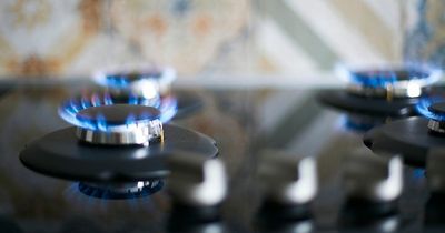 Energy price cap: All the household appliance running costs after October increase