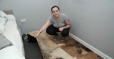 Council house tenant raises concerns over damp in flat