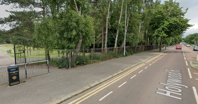 Man 'hit on the head with firearm' during attack in East Belfast park