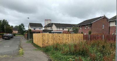 Edinburgh couple who turned garden into vegetable patch told to return land