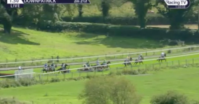 Carnage at Downpatrick as eight horses fall at the first hurdle