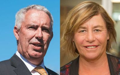 The life of a backbench MP