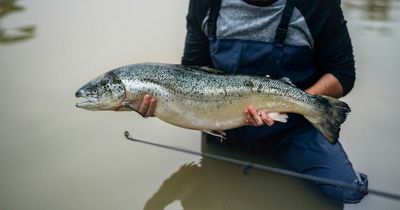Fisherman gets huge ruler tattoo to measure his catch - leaving people gobsmacked
