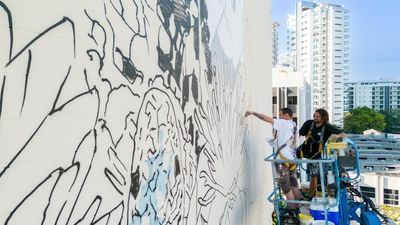 Darwin Street Art Festival's giant murals bring city streets to life