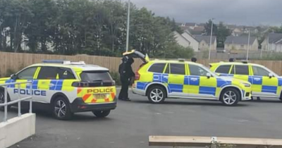 Armed officers descend on Scots property amid reports of 'disturbance'