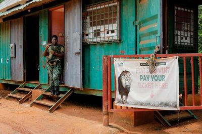 Lion kills man who scaled fence and jumped into its enclosure at Ghana zoo