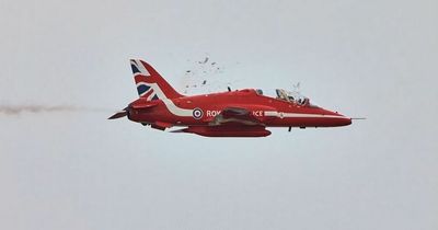 Shocking moment bird smashes through Red Arrows cockpit at air show caught on camera