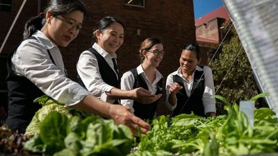 Gardening breaks hoped to boost staff mental health at Brisbane’s Mater Hospital