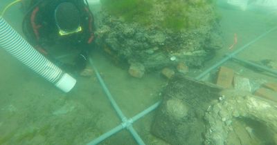 Mystery of shipwreck finally solved thanks to clues in rotting timber
