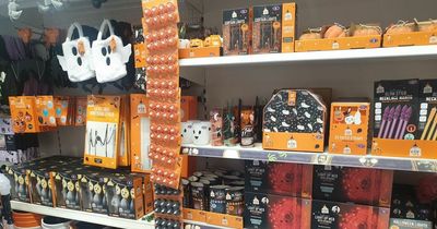 'I shopped B&M's Halloween 2022 collection and found spooky gifts for £10 or less - my top five picks'