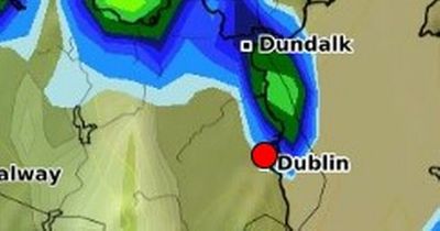Dublin weather: Heavy showers forecast for Electric Picnic weekend