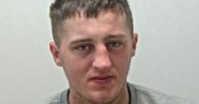 Drunk thug bit off girlfriend's ear and sank teeth into her face in front of horrified tourists