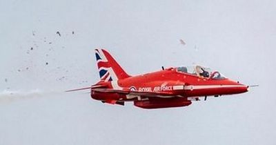 Horror moment bird crashes into Red Arrows cockpit during show caught on camera