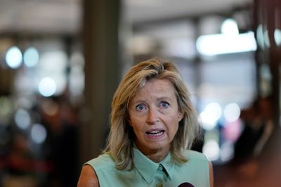 Dutch defense minister concerned at US gun violence