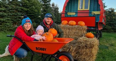 Wicklow pumpkin patch experience returning after huge success