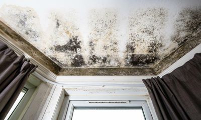 UK parents: has your child been affected by the cold or damp at home?