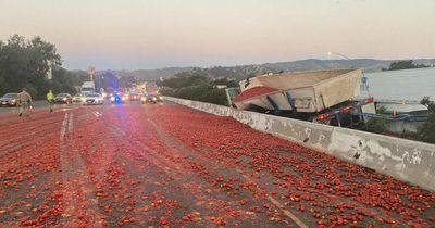 Tens of thousands of tomatoes cause traffic chaos after lorry spills load on to Californian motorway