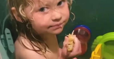 Toddler hailed 'self-care queen' as mum catches her eating roast chicken in the bath