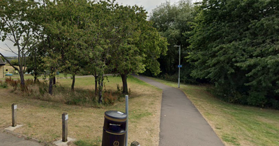 Girl, 9, 'grabbed' by man at Scots playpark as police probe incident