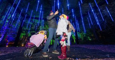 Popular Perthshire light show The Enchanted Forest will have autism-friendly performances for the first time