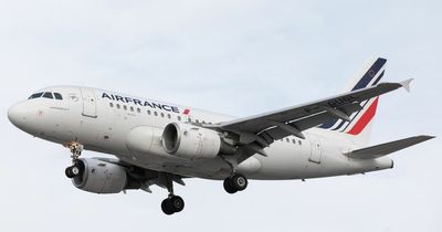 Air France pilots break out in fight in cockpit minutes after take off