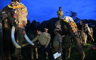 Two Theppakadu camp elephants retire from service in Nilgiris