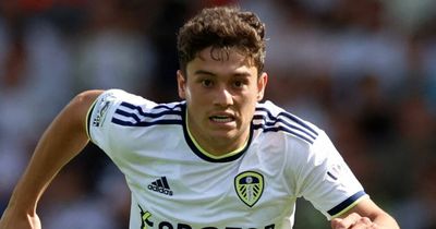 Leeds make stance clear after Tottenham transfer bid for ex-Man Utd star Daniel James