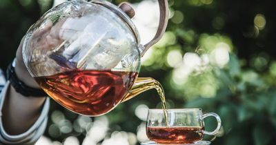 New research shows that tea drinking may be linked to lower risk of death