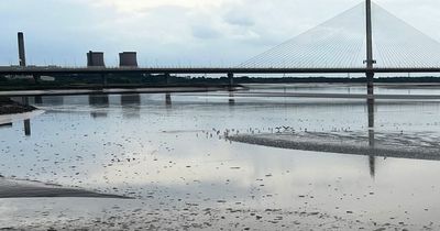 United Utilities respond to videos of raw sewage in River Mersey