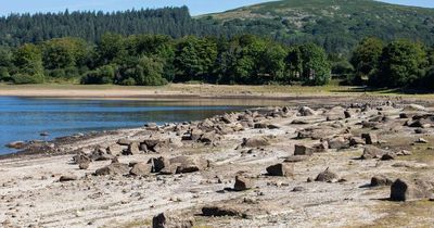 UK drought expands to the majority of England