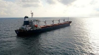 1st Ukraine Grain Ship for Horn of Africa Reaches Djibouti