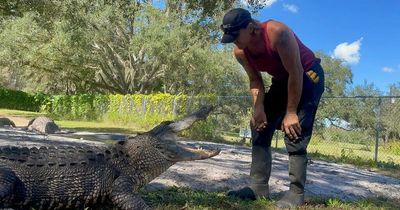 Man attacked for second time by alligator in a decade as he suffers extreme injury