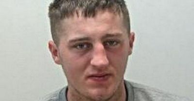 Horrified bystanders look on as thug bites girlfriend's ear off in savage attack